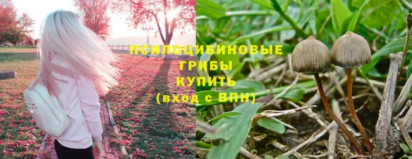 герыч Алексин